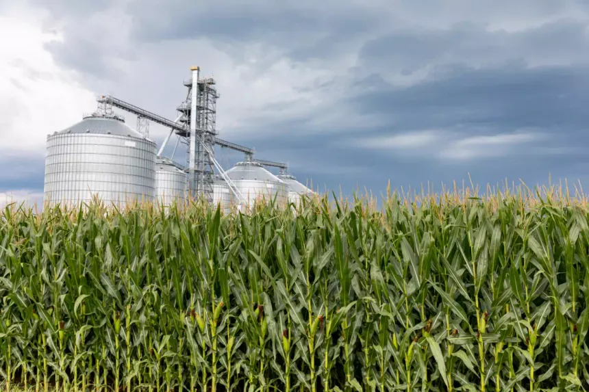 Acuerdo por etanol de sorgo abre ruta energética para el campo tamaulipeco