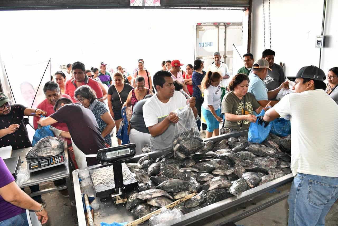 Revisan en la frontera chica el abasto de pescado para comedores del programa