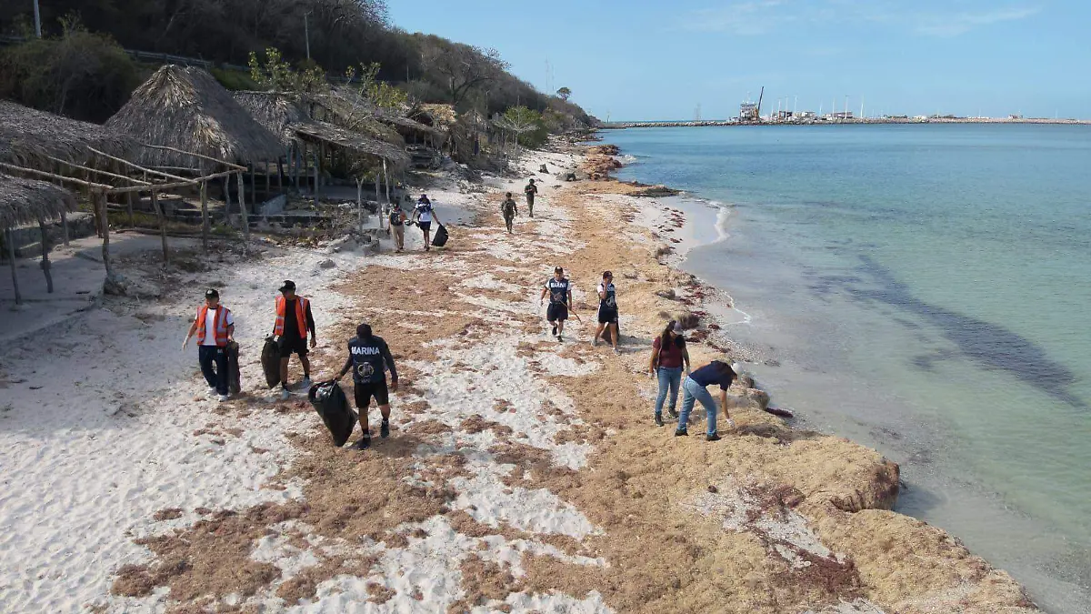 Activan respuesta ambiental tras la detección de residuos de hidrocarburo en la costa