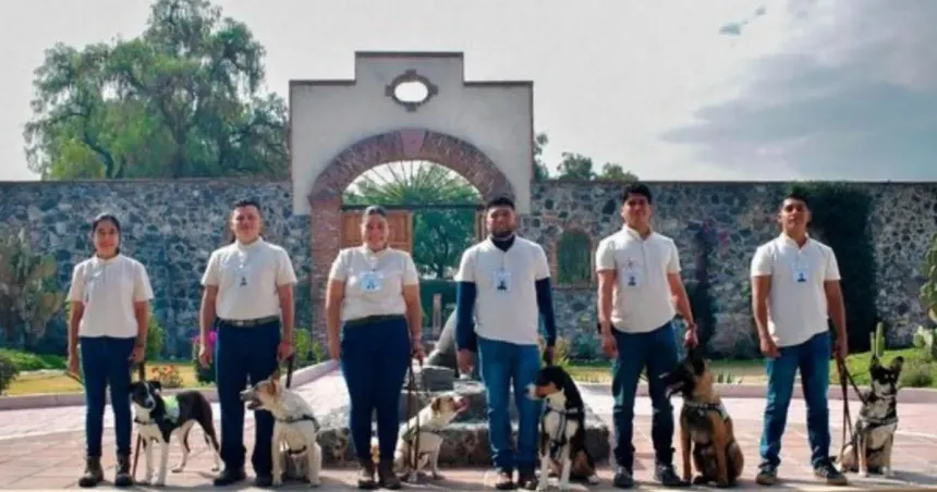 Perros entrenados refuerzan detección temprana del gusano barrenador en el hato