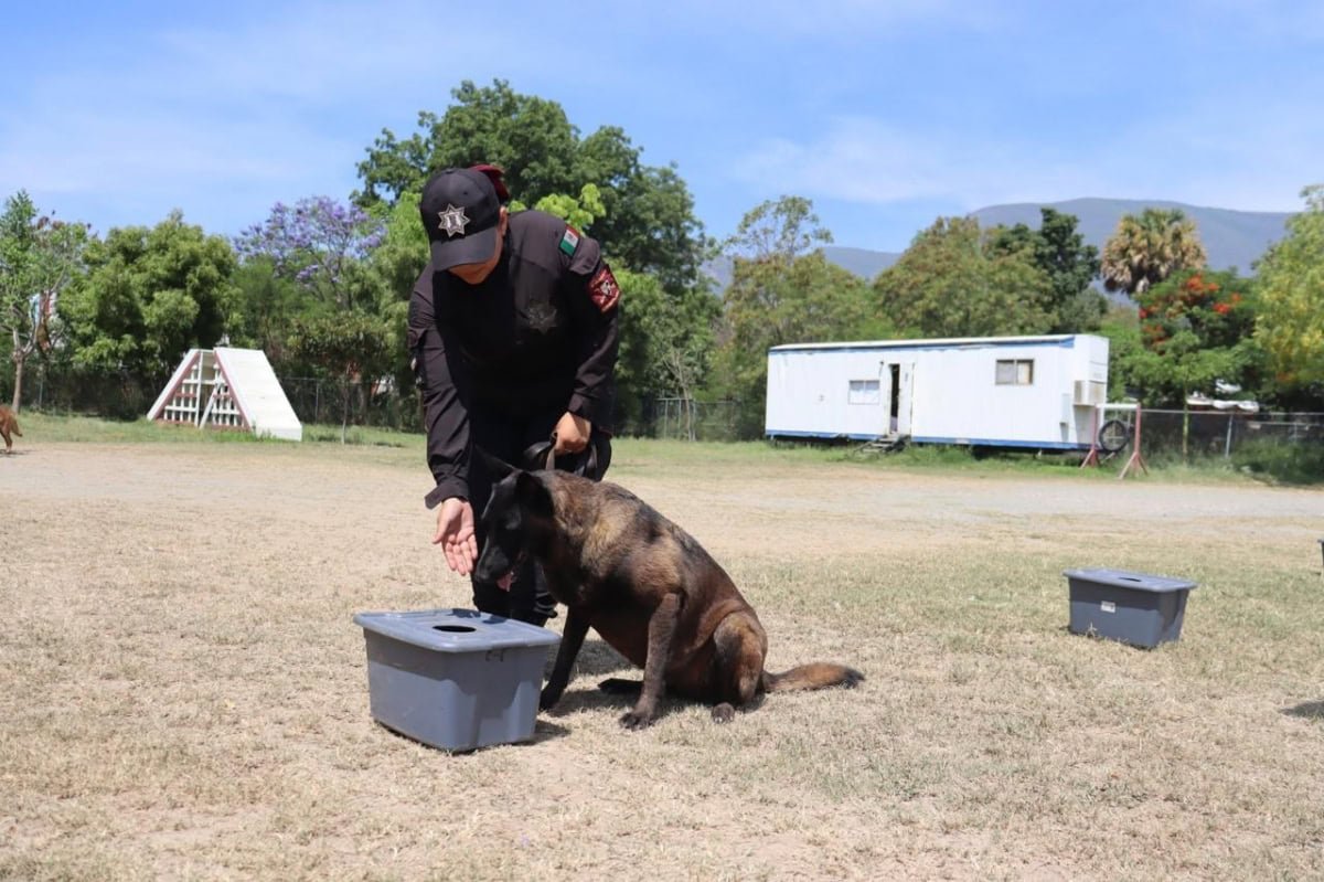 Guardia Estatal acerca a niñas, niños y jóvenes el trabajo de sus binomios K-9