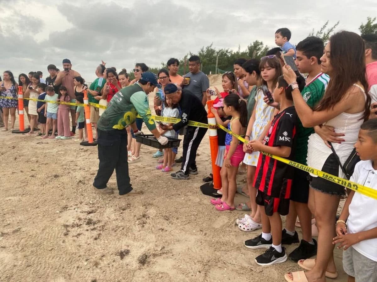 La Pesca recibe a familias en liberación pública de tortuga lora